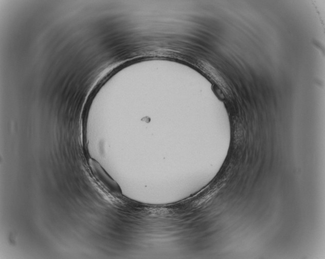 X0000096690940200803041258