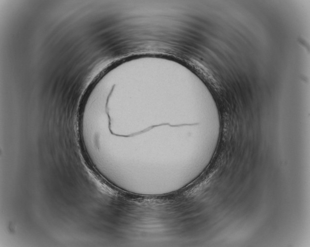 X0000096690942200803041258