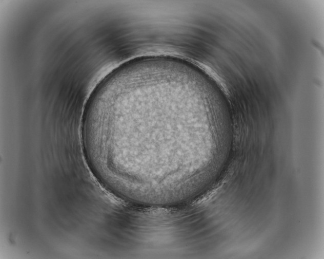 X0000096690943200803041258