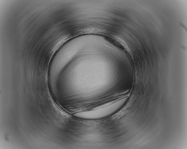 X0000096690946200803041258