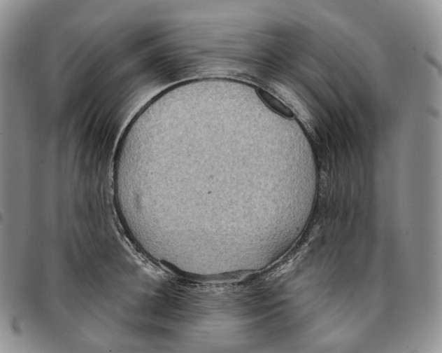 X0000096690948200803041258