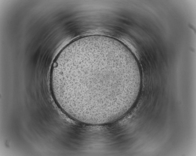 X0000096690949200803041258