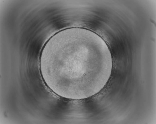 X0000096690950200803041258