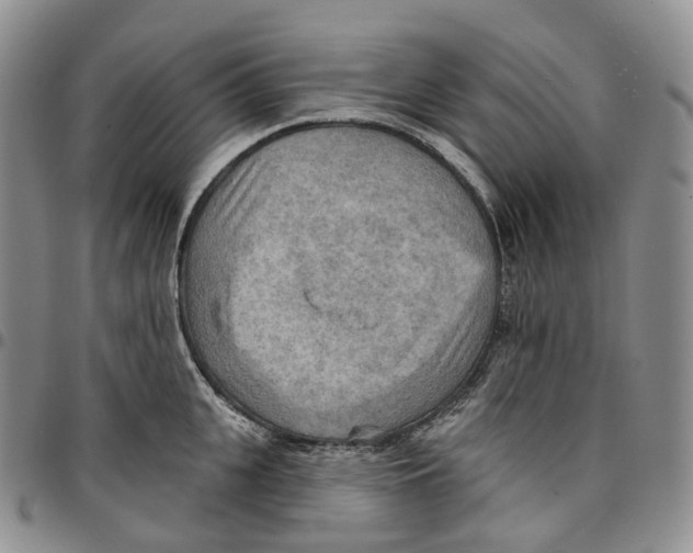 X0000096690951200803041258