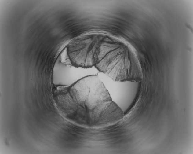 X0000096690953200803041258