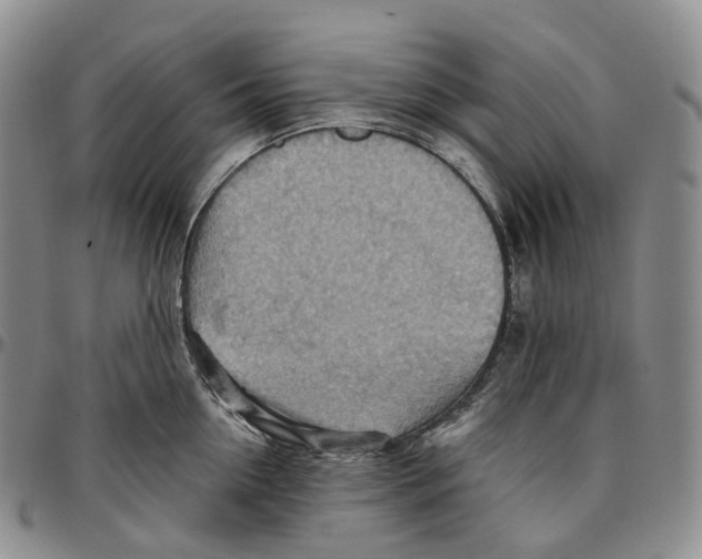 X0000096690954200803041258