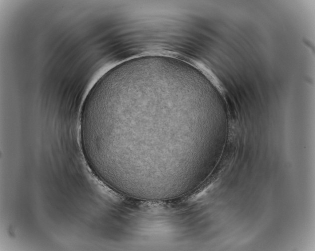 X0000096690955200803041258