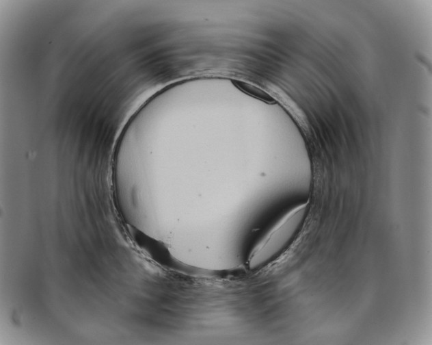 X0000096690956200803041258