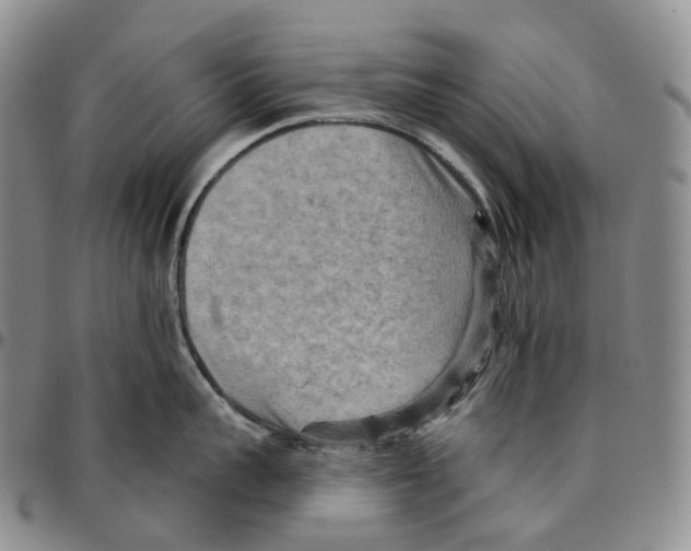 X0000096690959200803041258