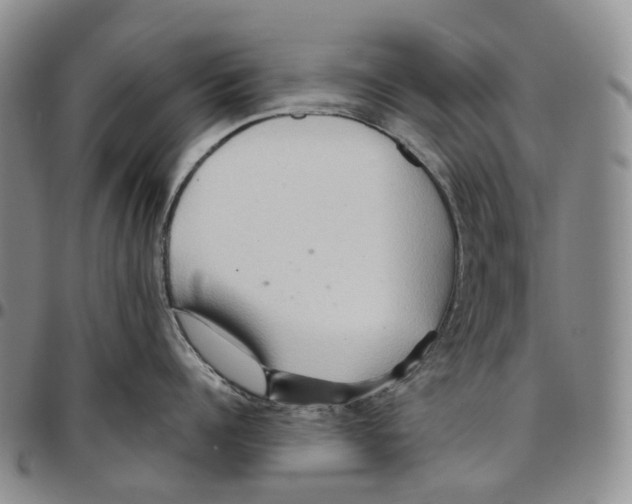 X0000096690960200803041258