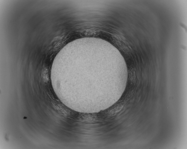 X0000096690962200803041257