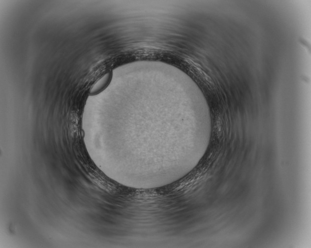 X0000096690964200803041257