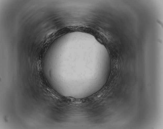 X0000096690965200803041257