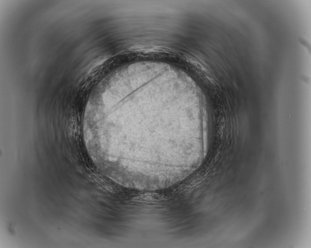 X0000096690966200803041257