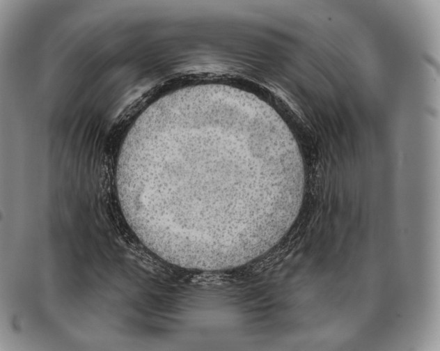 X0000096690967200803041257