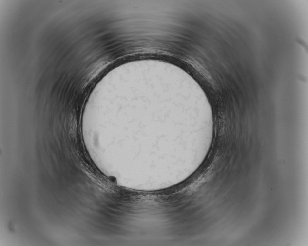 X0000096690969200803041257