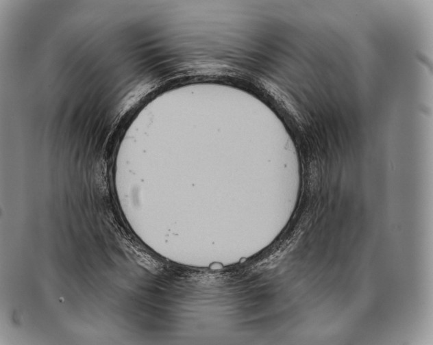 X0000096690970200803041257