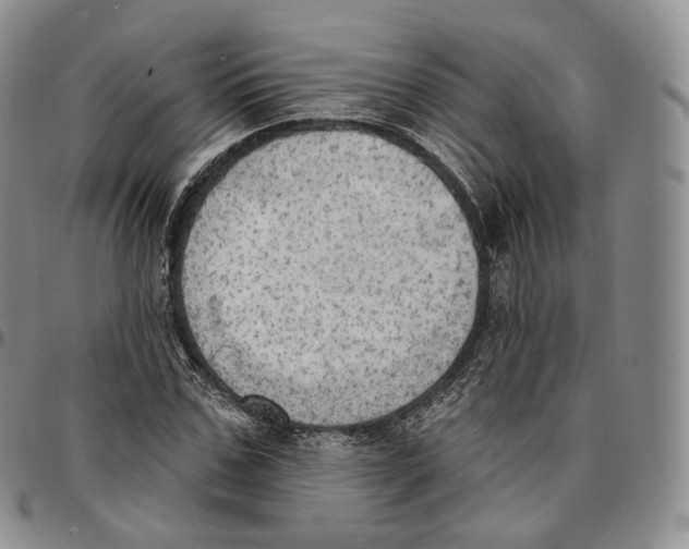 X0000096690971200803041257