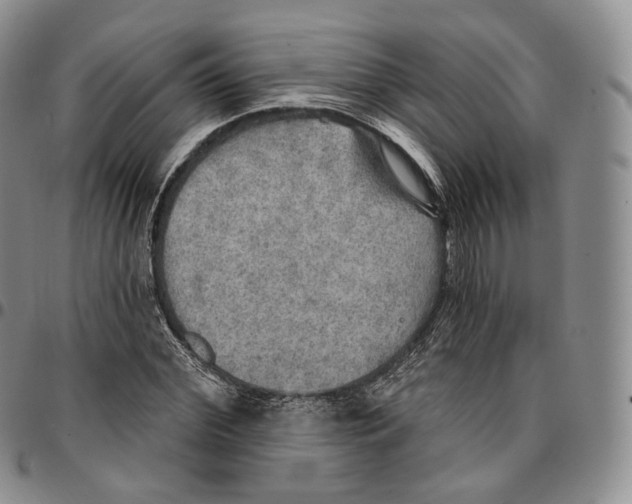 X0000096690972200803041257