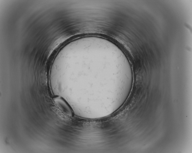 X0000096690973200803041257