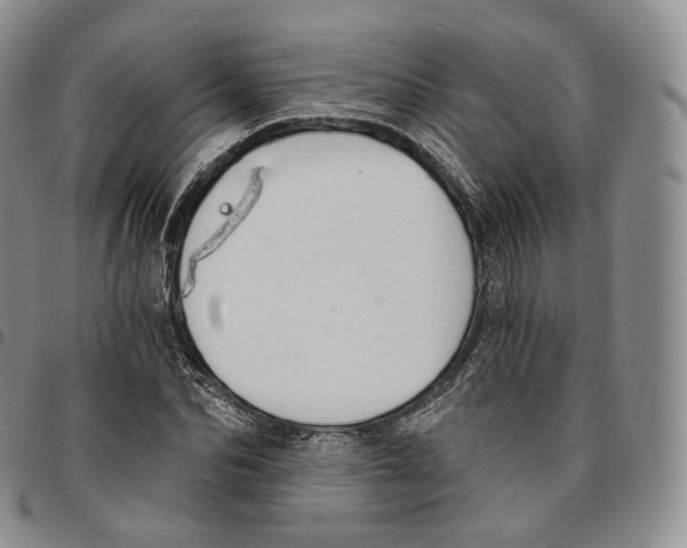 X0000096690974200803041257