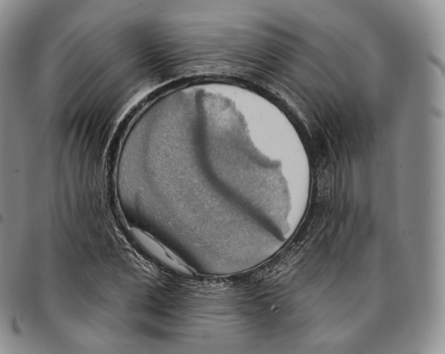 X0000096690975200803041257