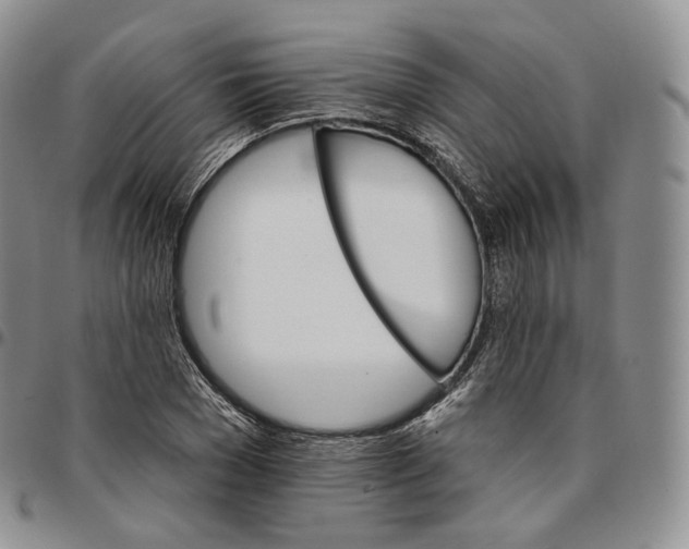 X0000096690977200803041257