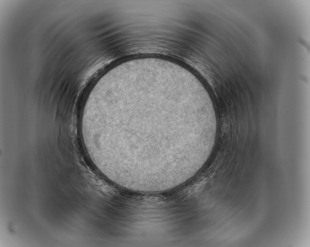 X0000096690979200803041257