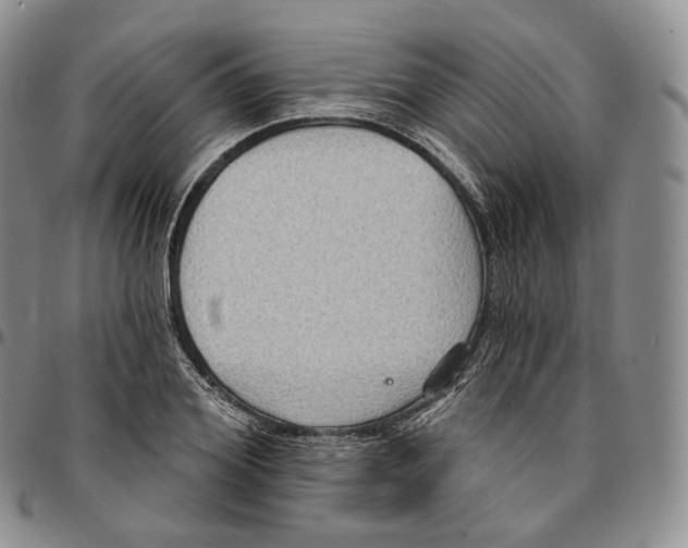 X0000096690980200803041257