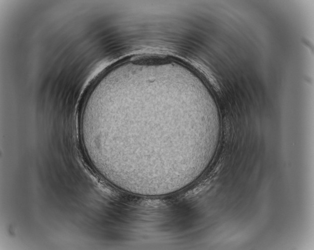 X0000096690982200803041257