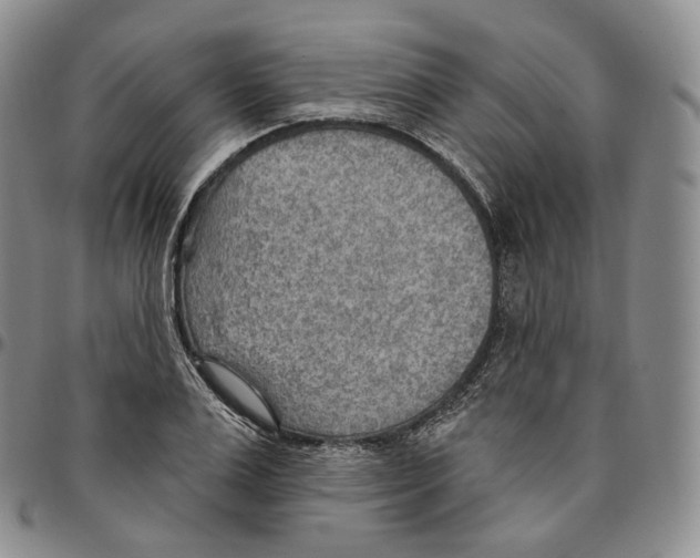 X0000096690983200803041257