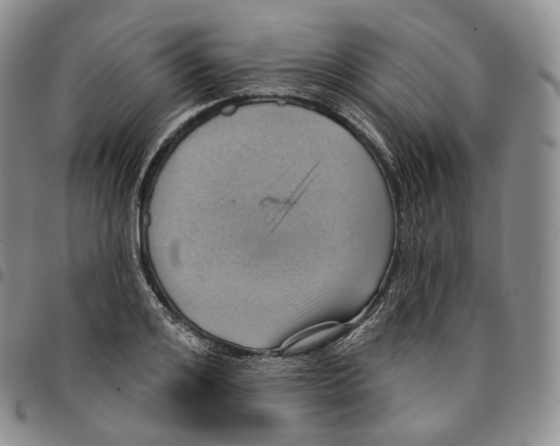 X0000096690984200803041257