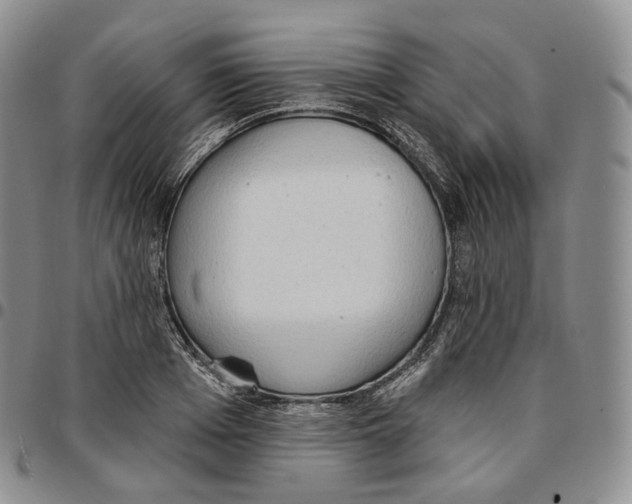 X0000096690985200803041257