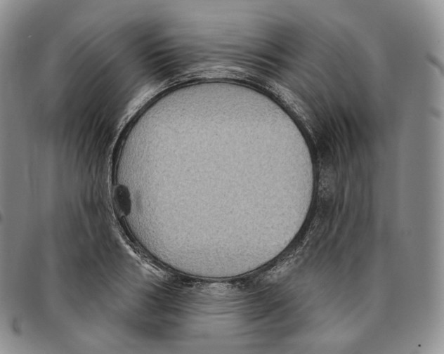 X0000096690986200803041257