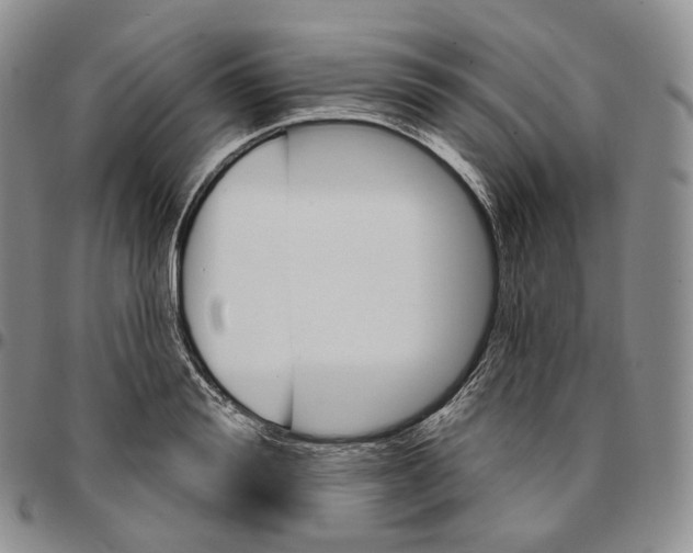 X0000096690988200803041257