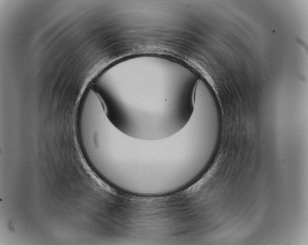 X0000096690989200803041257