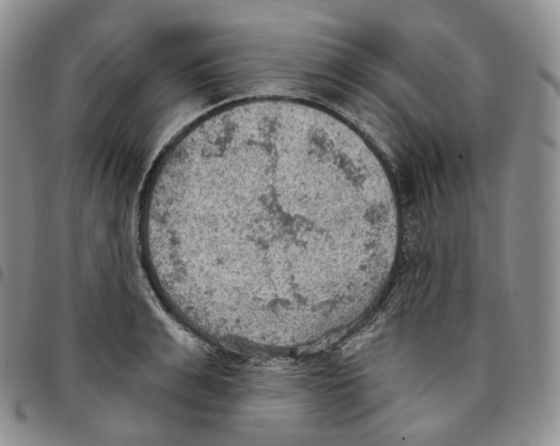 X0000096690991200803041257