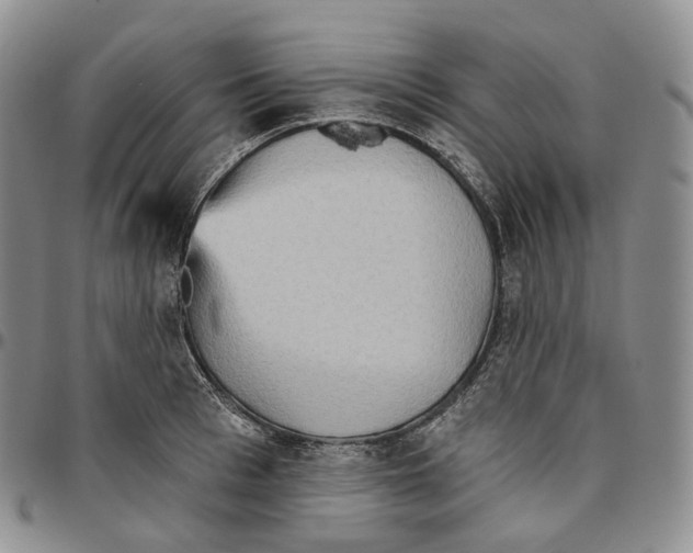 X0000096690993200803041257