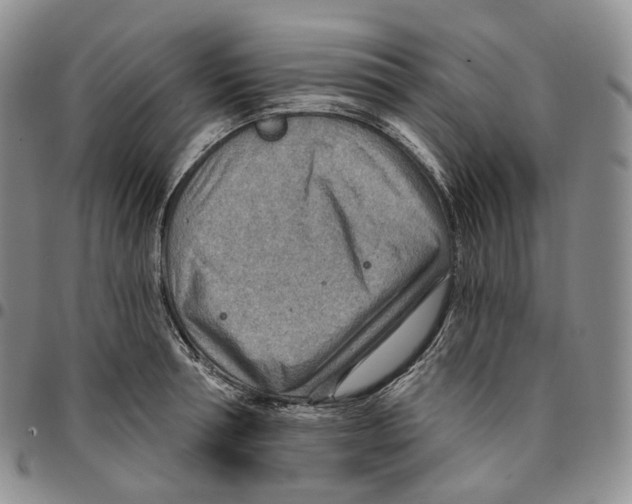 X0000096690994200803041257