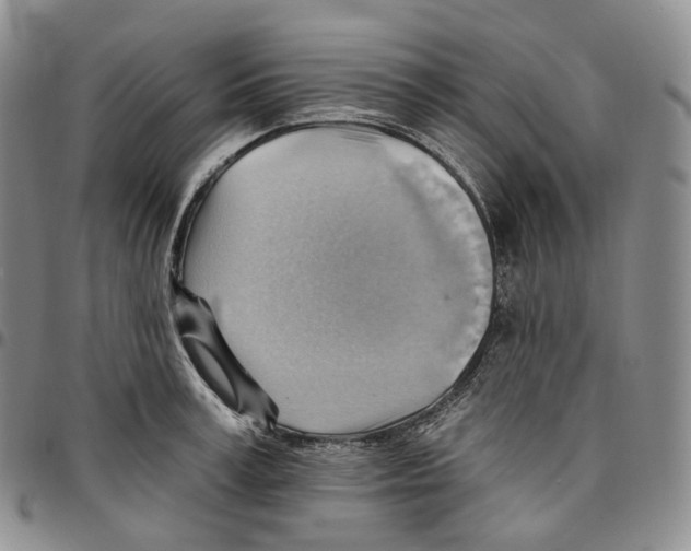 X0000096690995200803041257