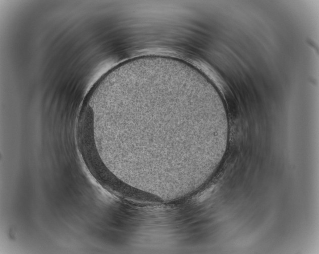 X0000096690999200803041257