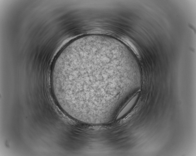 X0000096691000200803041257