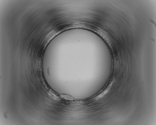 X0000096691001200803041257