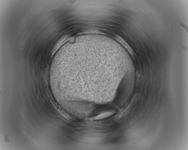 X0000096691002200803041257