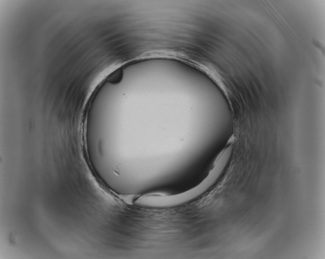 X0000096691003200803041257