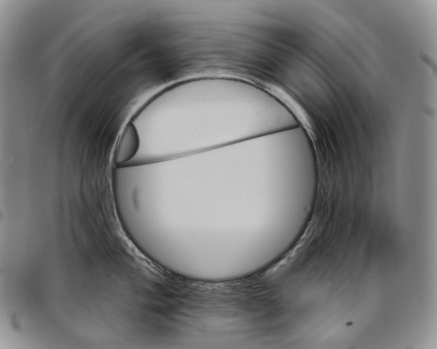 X0000096691004200803041257