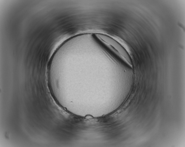 X0000096691006200803041257