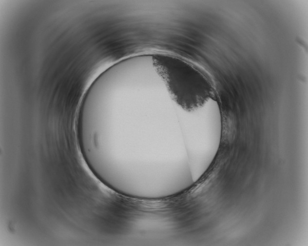 X0000096691007200803041256