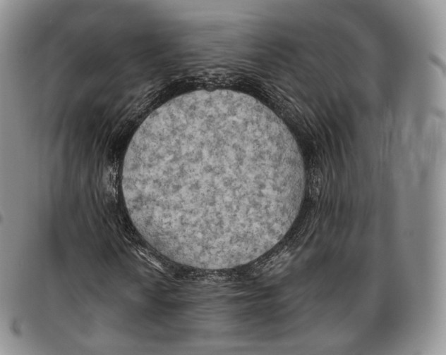 X0000096691010200803041256