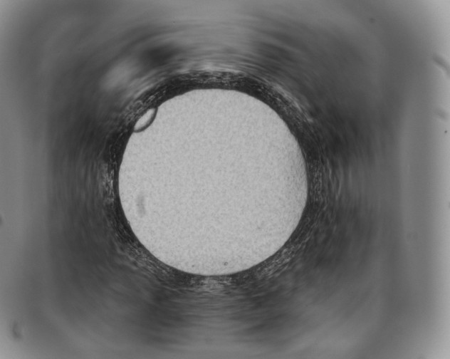 X0000096691013200803041256